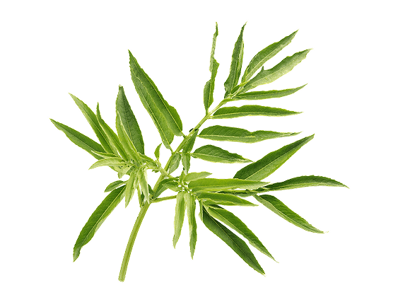 Cleavers