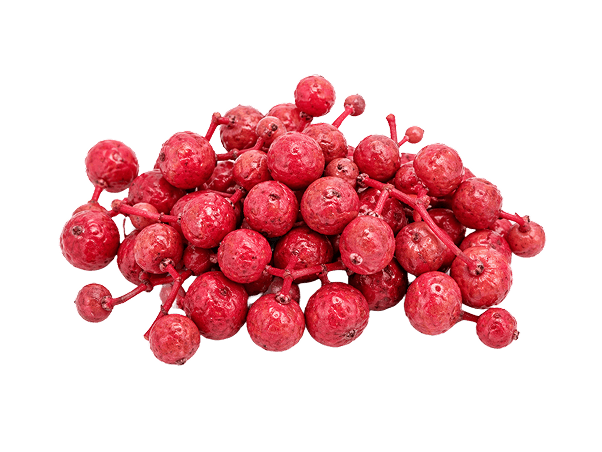 Prickly ash